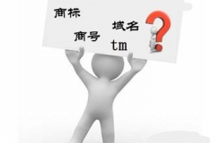 “.商標(biāo)”、“.TM”，域名商標(biāo)界的真假美猴王