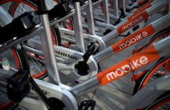 引證商標被撤三！摩拜公司“MOBIKE”商標注冊不具有在先注冊障礙