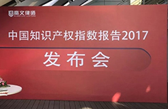 《中國(guó)知識(shí)產(chǎn)權(quán)指數(shù)報(bào)告2017》—31個(gè)省、自治區(qū)、直轄市排名情況