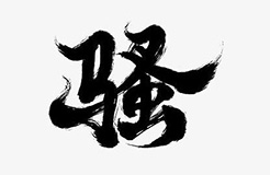 商標(biāo)含有“騷”字，易使人產(chǎn)生「格調(diào)不高」認(rèn)識(shí)?。ㄉ虡?biāo)駁回復(fù)審決定書全文）