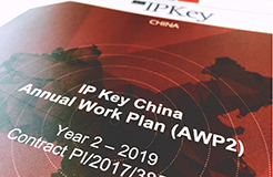 IP Key中國項目2019年度工作計劃公布！