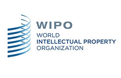 #晨報#WIPO 仲裁與調(diào)解中心成為中國國家頂級域名爭議解決機(jī)構(gòu)（自2019.8.1日起）