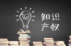 知識產權質押融資風險共擔機制分析——以寧波知識產權質押融資業(yè)務實踐為例