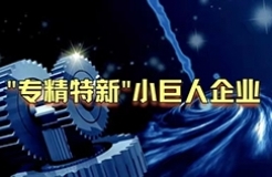 工信部：第三批專精特新“小巨人”企業(yè)達2930家，是前兩批總和的1.5倍