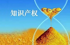 杭州：開展知識(shí)產(chǎn)權(quán)證券化試點(diǎn)，探索知識(shí)產(chǎn)權(quán)資本化新模式