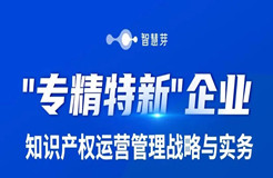 “專精特新”企業(yè)看過來！這有一份你的知產(chǎn)運營“攻略”