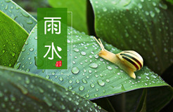 節(jié)日IP記 | 雨水：雨落 花開！