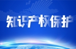 中國科協(xié)學(xué)會(huì)服務(wù)中心舉辦“加強(qiáng)知識產(chǎn)權(quán)保護(hù)  服務(wù)科技創(chuàng)新發(fā)展”專題訪談