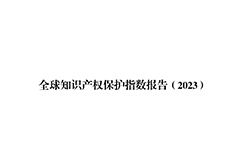 《2023年全球知識產(chǎn)權(quán)保護(hù)指數(shù)報告》全文發(fā)布