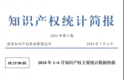 2024年1-6月專利、商標(biāo)、地理標(biāo)志等知識產(chǎn)權(quán)主要統(tǒng)計數(shù)據(jù) | 附數(shù)據(jù)詳情