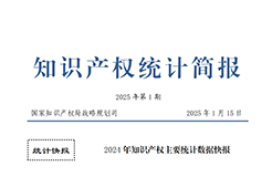 2024年1-12月我國發(fā)明專利授權(quán)量同比增長13.46%，實用新型同比下降3.86%｜附報告