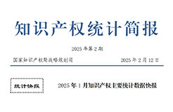 2025年1月專利、商標、地理標志等知識產(chǎn)權(quán)主要統(tǒng)計數(shù)據(jù) | 附數(shù)據(jù)詳情