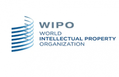 WIPO：2024年P(guān)CT專利申請(qǐng)總量第一的國(guó)家是中國(guó)，申請(qǐng)人榜首為華為