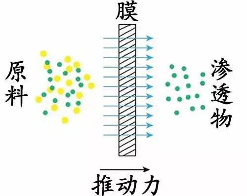 【科技情報】舌尖上的清明，彩色食品安全嗎？