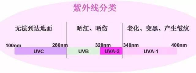 【科技情報(bào)】再不防曬就老了！