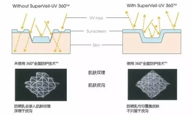 【科技情報(bào)】再不防曬就老了！