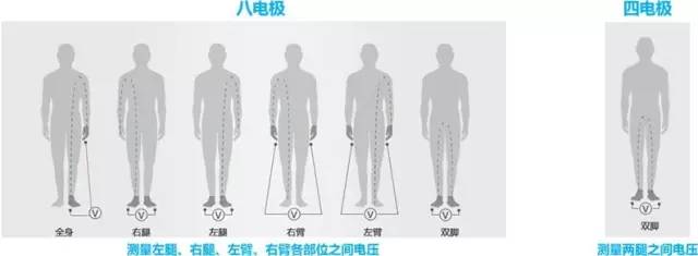 這款神器能檢測出「朋友圈曬的健身步數(shù)」是否是假運動？