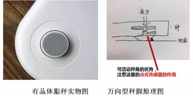 這款神器能檢測出「朋友圈曬的健身步數(shù)」是否是假運動？