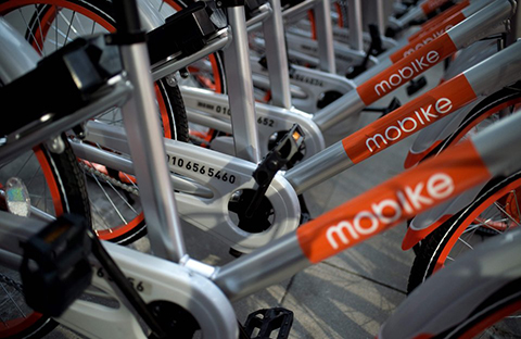 引證商標被撤三！摩拜公司“MOBIKE”商標注冊不具有在先注冊障礙