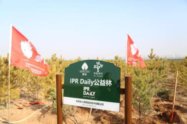 IPRdaily攜手“呼喚森林”共建公益林，為國(guó)家底色填一抹新綠