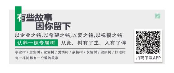 IPRdaily攜手“呼喚森林”共建公益林，為國(guó)家底色填一抹新綠