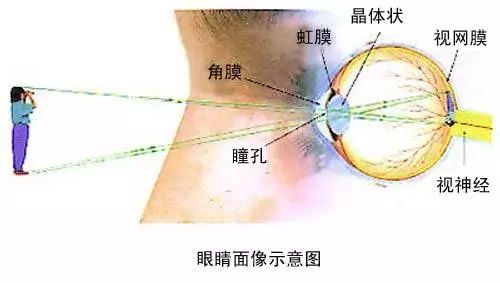 “滴了一年，最后瞎了”！一年賣7億的神藥曝驚人丑聞，延誤病情最終致盲？