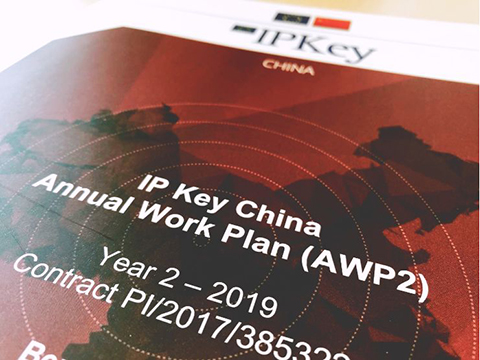 IP Key中國(guó)項(xiàng)目2019年度工作計(jì)劃公布！