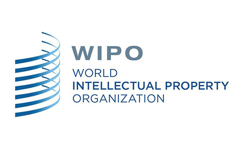 #晨報(bào)#WIPO 仲裁與調(diào)解中心成為中國國家頂級域名爭議解決機(jī)構(gòu)（自2019.8.1日起）