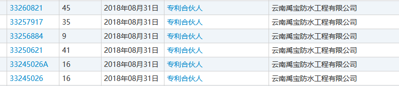 驚呆！“專利師”沒申請專利，“商標注冊”卻成了商標