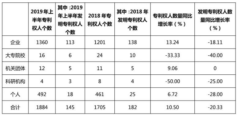 廣州市白云區(qū)2019年上半年專利數(shù)據(jù)分析報(bào)告