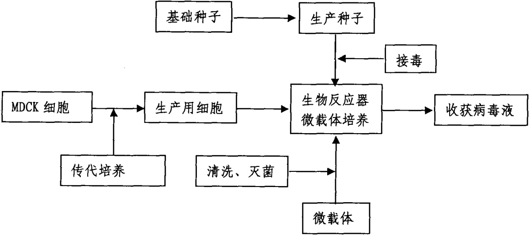 流感高峰期已到,請(qǐng)大家注意防范！——流感疫苗專利分析