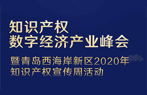 知識產權護航數(shù)字經濟發(fā)展，八戒知識產權首發(fā)“知識產權數(shù)字公共服務平臺20城計劃”