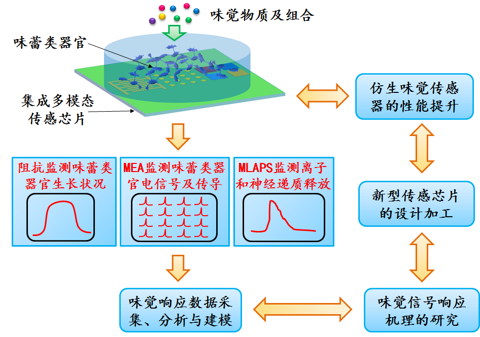 【速看！】18個優(yōu)秀項目來穗！國家自然科學(xué)基金優(yōu)秀成果對接活動（廣州分會場）即將舉辦！