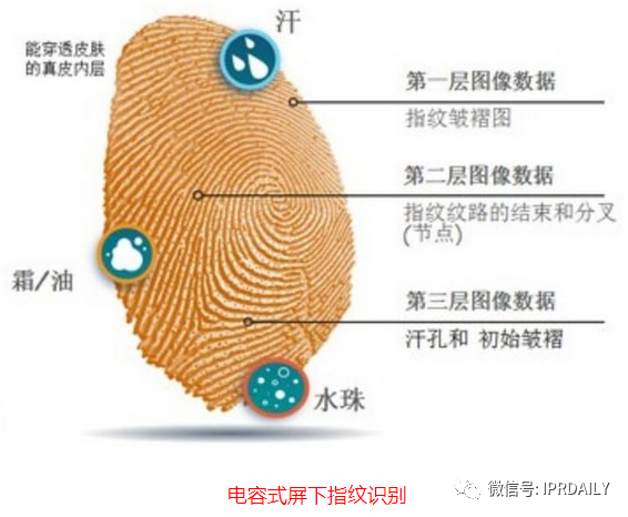 細(xì)分領(lǐng)域的專利代理-淺談光電顯示指紋識(shí)別技術(shù)