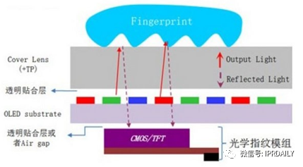 細(xì)分領(lǐng)域的專利代理-淺談光電顯示指紋識(shí)別技術(shù)