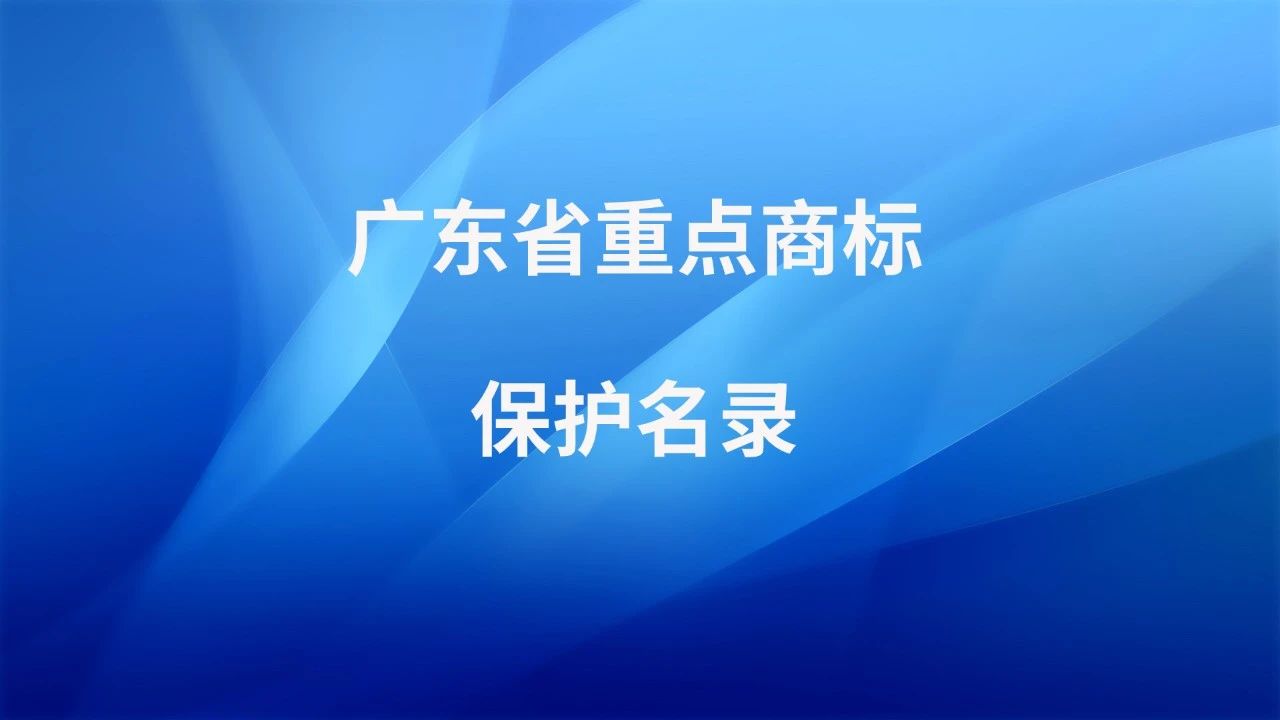 廣東商標(biāo)協(xié)會2020大事記