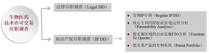 生物醫(yī)藥技術(shù)許可交易License-in/out中的考量要點(diǎn)之知識(shí)產(chǎn)權(quán)盡職調(diào)查