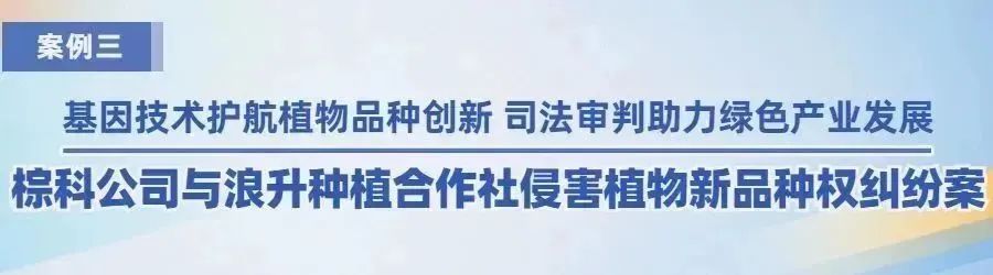 廣州知識(shí)產(chǎn)權(quán)法院2022年度十大典型案例