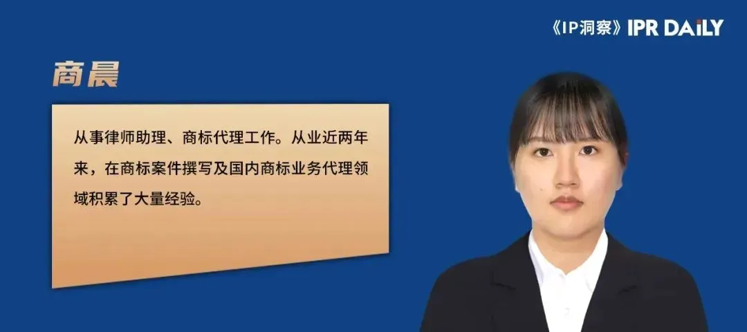 拼音商標構成近似的常見情形及判定標準