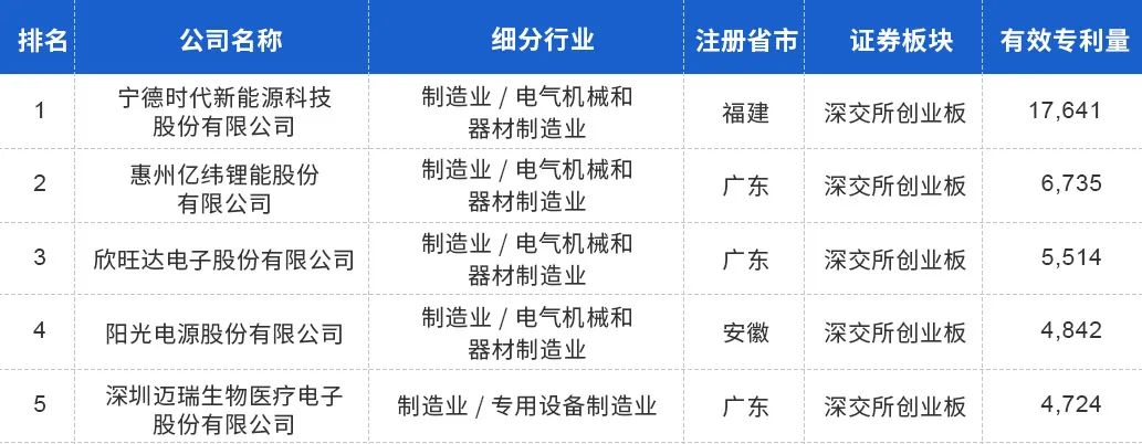 中國上市公司有效專利排行榜TOP100