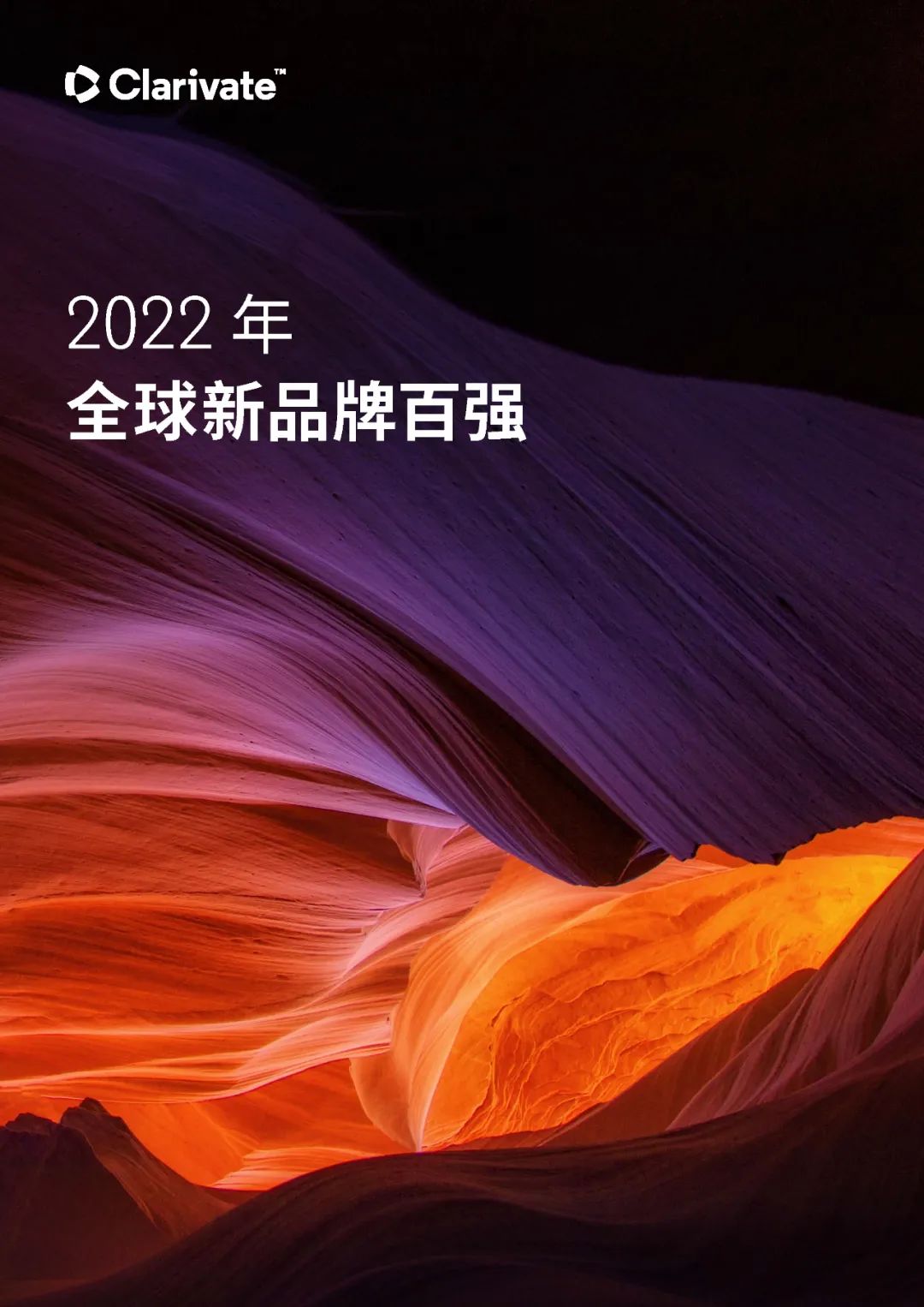 中文報告下載 | 2022年全球新品牌百強  ?